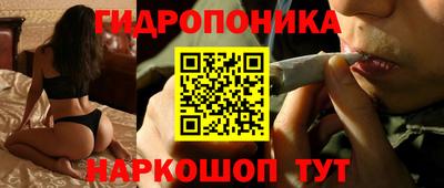 соль ск Новодвинск