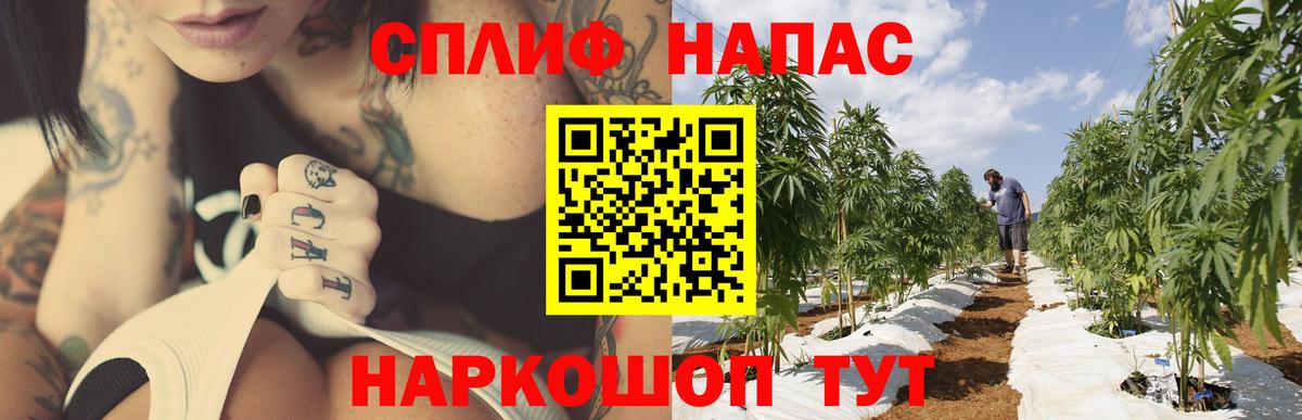 Марихуана White Widow  Вход с VPN  Реутов  Шишки марихуана Bruce Banner 